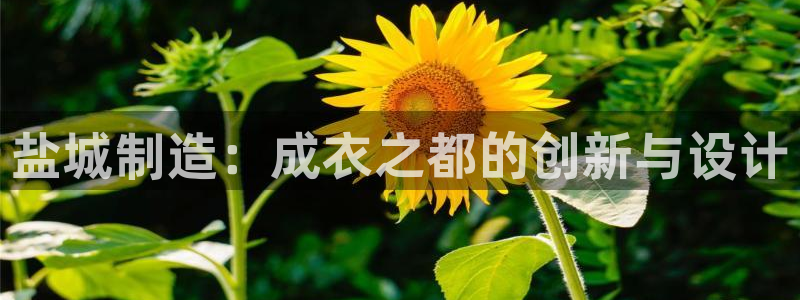 天辰娱乐入口