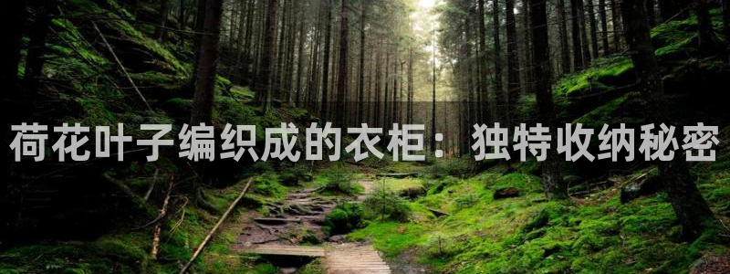 天辰娱乐天辰宝