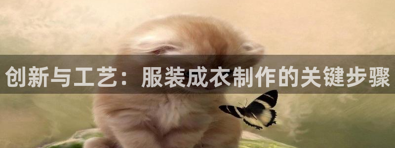 天辰娱乐老板
