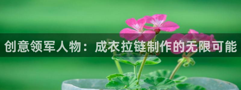 天辰娱乐39974神