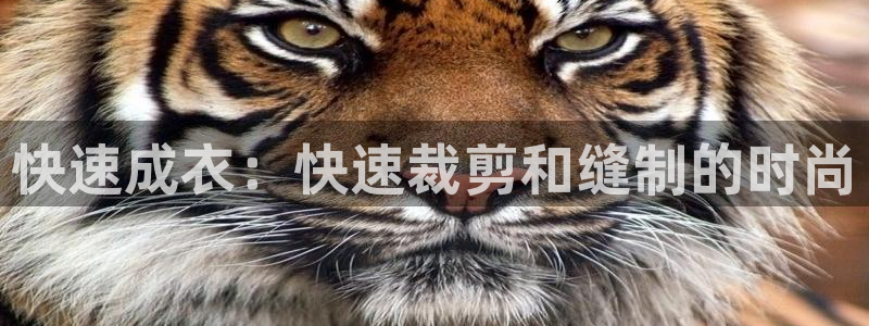 天辰娱乐指尖所