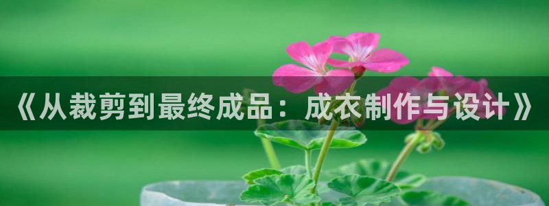 天辰娱乐平台注册