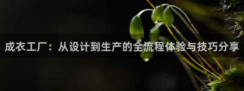 天辰娱乐 天辰平台